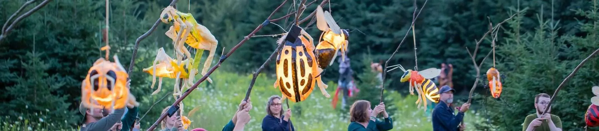 People in a field hold up illuminated lanterns in the shape of insects.